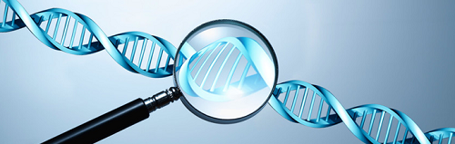 Tìm kiếm trung tâm xét nghiệm ADN tại Hà Nội đảm bảo kết quả chính xác được nhiều người quan tâm