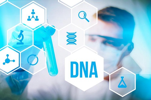 Xét nghiệm ADN tại Locus ADN, khách hàng sẽ nhận được kết quả chính xác nhất